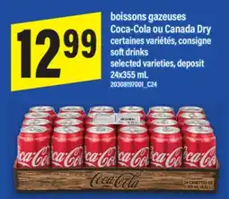 Maxi BOISSONS GAZEUSES COCA-COLA OU CANADA DRY | SOFT DRINKS, 24x355 mL offer