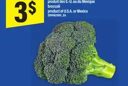 Maxi BROCOLI | BROCCOLI offer