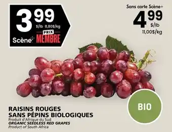 Rachelle-Bery Grocery ORGANIC SEEDLESS RED GRAPES offer