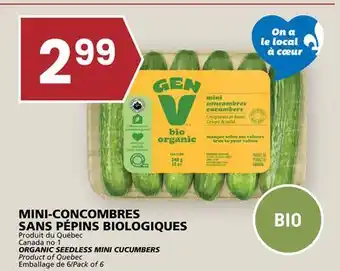 Rachelle-Bery Grocery ORGANIC SEEDLESS MINI CUCUMBERS offer