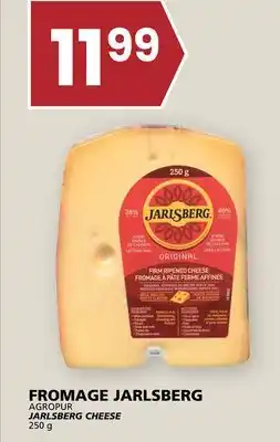 Rachelle-Bery Grocery AGROPUR JARLSBERG CHEESE offer