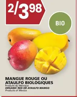 Rachelle-Bery Grocery ORGANIC RED OR ATAULFO MANGO offer