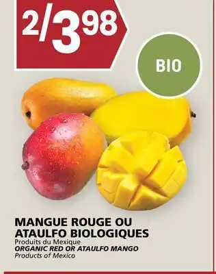 Rachelle-Bery Grocery ORGANIC RED OR ATAULFO MANGO offer