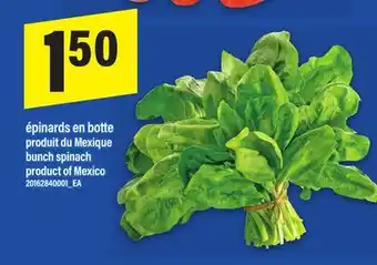 Maxi ÉPINARDS EN BOTTE | BUNCH SPINACH offer