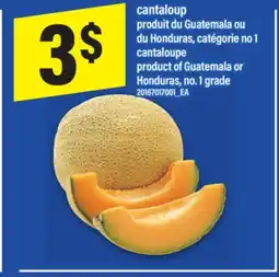 Maxi CANTALOUP | CANTALOUPE offer