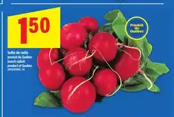 Maxi BOTTE DE RADIS | BUNCH RADISH offer