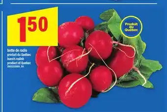 Maxi BOTTE DE RADIS | BUNCH RADISH offer