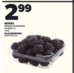 Provigo MÛRES, 170 G offer