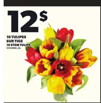 Provigo 10 TULIPES SUR TIGE offer