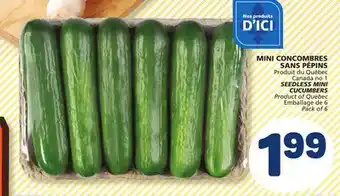 Marché Bonichoix SEEDLESS MINI CUCUMBERS offer