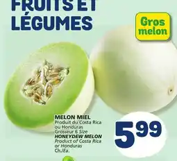 Marché Bonichoix HONEYDEW MELON offer