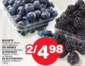 Marches Tradition BLUEBERRIES Product of Peru or Mexico OR BLACKBERRIES Product of Mexico 170 g offer