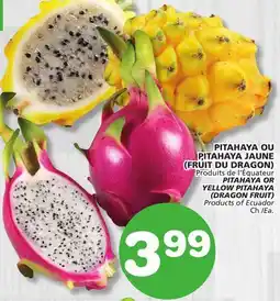 Marches Tradition PITAHAYA OR YELLOW PITAHAYA (DRAGON FRUIT) offer