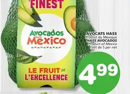 Marches Tradition HASS AVOCADOS offer