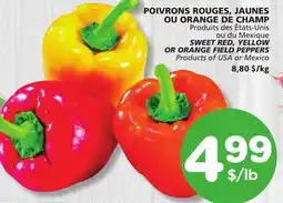 Marches Tradition SWEET RED, YELLOW OR ORANGE FIELD PEPPERS offer