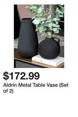 Wayfair Aldrin Metal Table Vase (Set of 2) offer