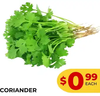 Iqbal Foods Coriander offer