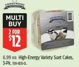 Canadian Tire Armstrong High-Energy Variety Suet Cakes offer