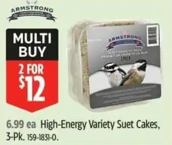 Canadian Tire Armstrong High-Energy Variety Suet Cakes offer