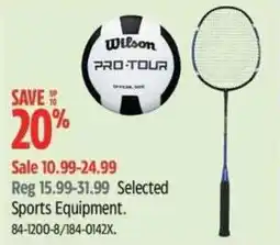 Canadian Tire Wilson Sports Equipment offer