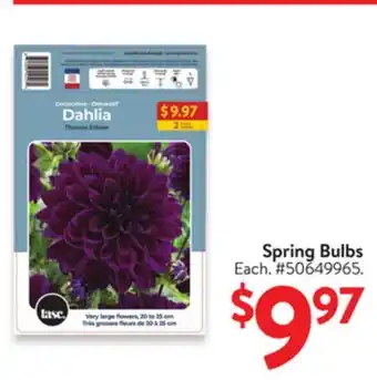 Walmart Spring Bulbs offer