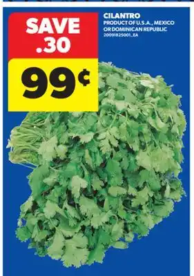 Real Canadian Superstore CILANTRO offer