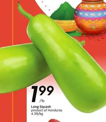 Sobeys Long Squash offer