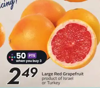 Sobeys Large Red Grapefruit - Citrus Fest offer