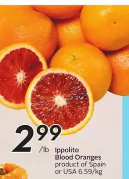 Sobeys Ippolito Blood Oranges - Citrus Fest offer