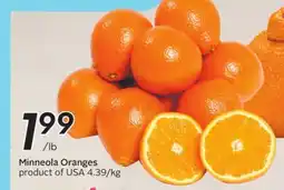 Sobeys Minneola Oranges - Citrus Fest offer