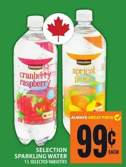 Food Basics SELECTION SPARKLING WATER offer