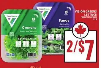 Food Basics VISION GREENS LETTUCE offer