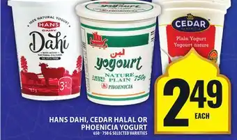 Food Basics HANS DAHI, CEDAR HALAL OR PHOENICIA YOGURT offer