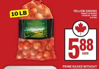 Food Basics YELLOW ONIONS offer