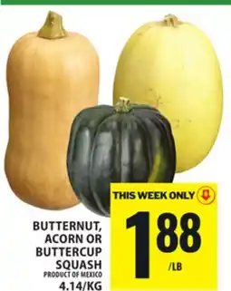 Food Basics BUTTERNUT, ACORN OR BUTTERCUP SQUASH offer