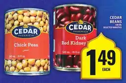 Food Basics CEDAR BEANS offer