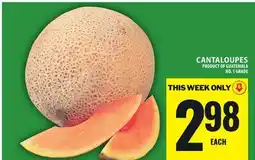 Food Basics CANTALOUPES offer