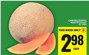 Food Basics CANTALOUPES offer