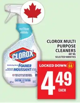 Food Basics CLOROX MULTI PURPOSE CLEANERS offer