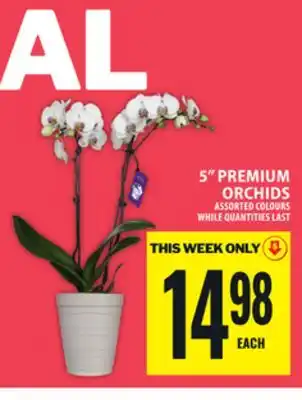 Food Basics 5 PREMIUM ORCHIDS offer