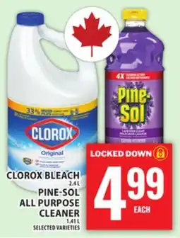 Food Basics CLOROX BLEACH OR PINE-SOL ALL PURPOSE CLEANER offer