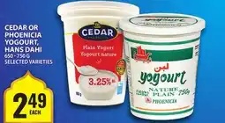 Food Basics CEDAR OR PHOENICIA YOGOURT, HANS DAHI offer