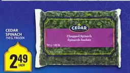 Food Basics CEDAR SPINACH offer