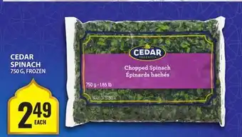 Food Basics CEDAR SPINACH offer