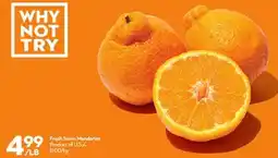 Longo's Fresh Sumo Mandarins offer