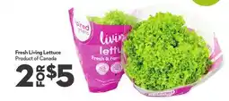 Longo's Fresh Living Lettuce offer