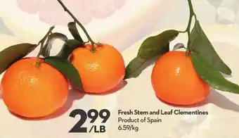 Longo's Fresh Stem and Leaf Clementines offer