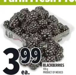 Metro BLACKBERRIES offer