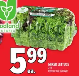 Metro MIXED LETTUCE offer