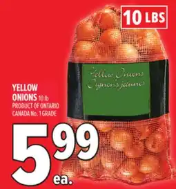 Metro YELLOW ONIONS offer